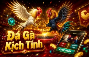 Sảnh Đá Gà Taxiperuvip